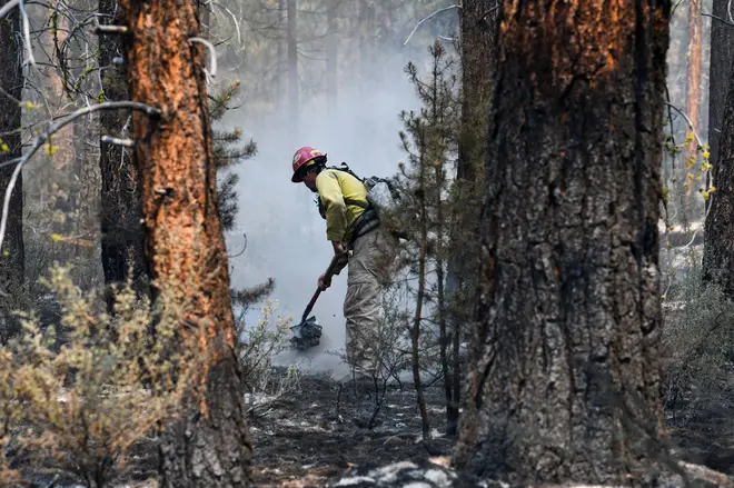 The Oregon Bootleg Fire has so far destroyed over 70 homes