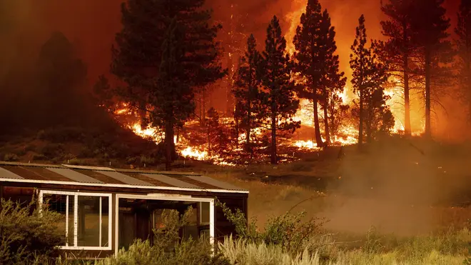 The Tamarack Fire burns behind a greenhouse in the Markleeville community of Alpine County, California