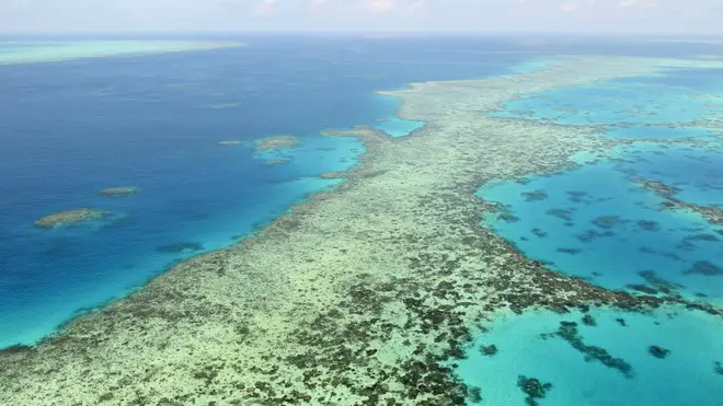 The Great Barrier Reef in Australia (Kyodo News via AP)