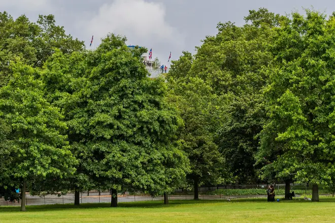Views of London promised from the top of the mound are obscured by trees