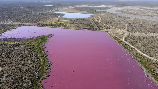 The waters of the Corfo lagoon are pink in Trelew, Chubut province, Argentina
