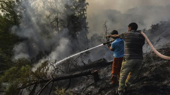 Villagers water trees to stop the wildfires that continue to rage in Antalya, Turkey