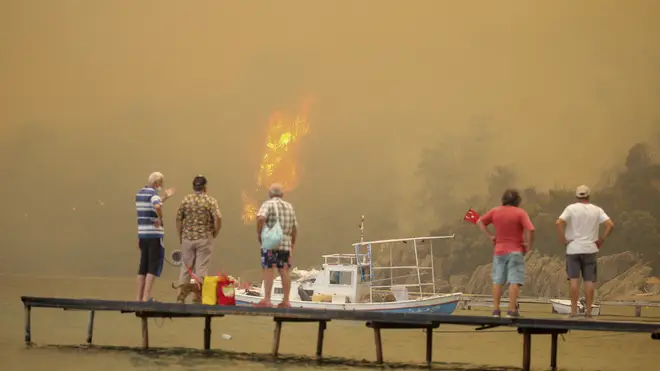 Tourists watching a wildfire