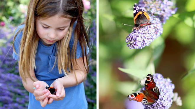 Princess Charlotte is seen cupping a butterfly
