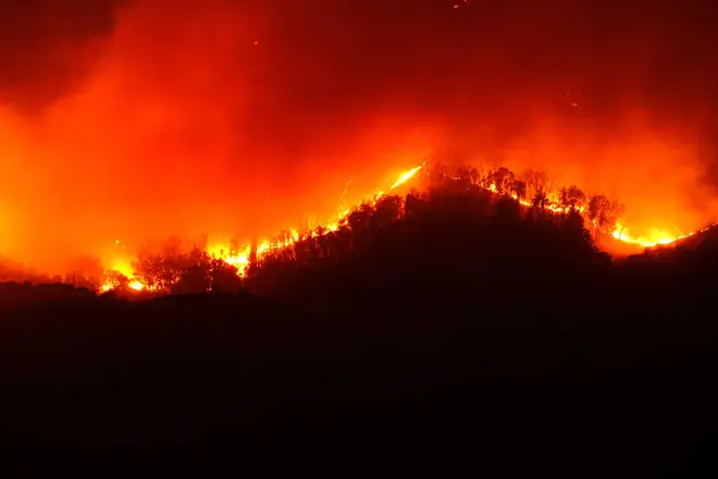 A large bushfire rips through the countryside of the province of Enna near the city of Aidone in Sicily.