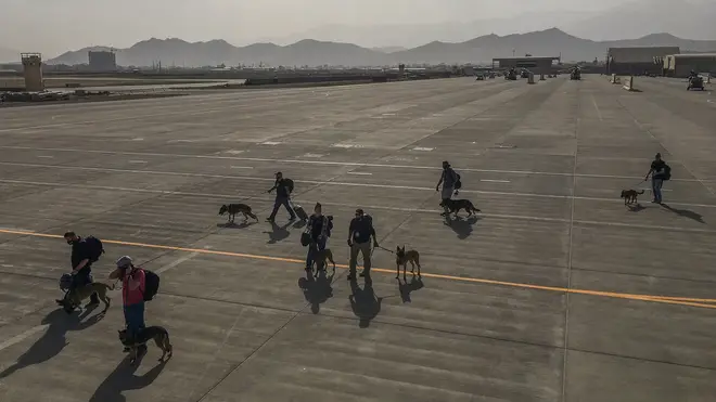 Images on social media showed the dogs with their handlers at Kabul Airport