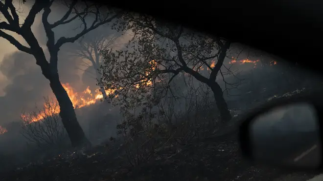 A burning forest is pictured from a car window near Le Luc, southern France (Daniel Cole/AP)