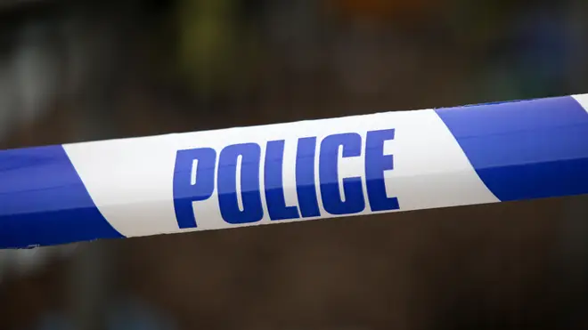 Officers were called to the A3 in Surrey after a member of the public found a body