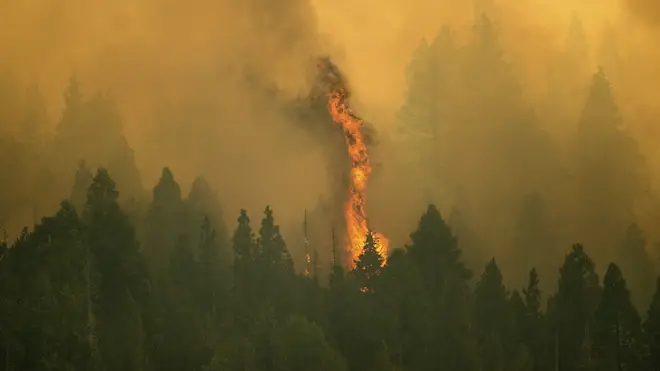 Western Wildfires
