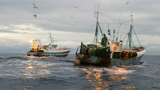 French fishermen say the UK government has failed to grant enough post-Brexit fishing licences
