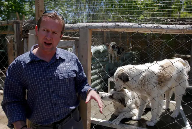 Pen Farthing is pictured with animals at his Afghan animal refuge Nowzad