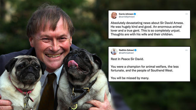 MPs and politicians share tributes for Sir David Amess after stabbing death