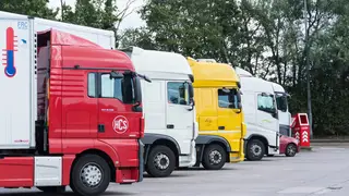 The shortage of lorry drivers in the UK has caused chaos to the supply chain