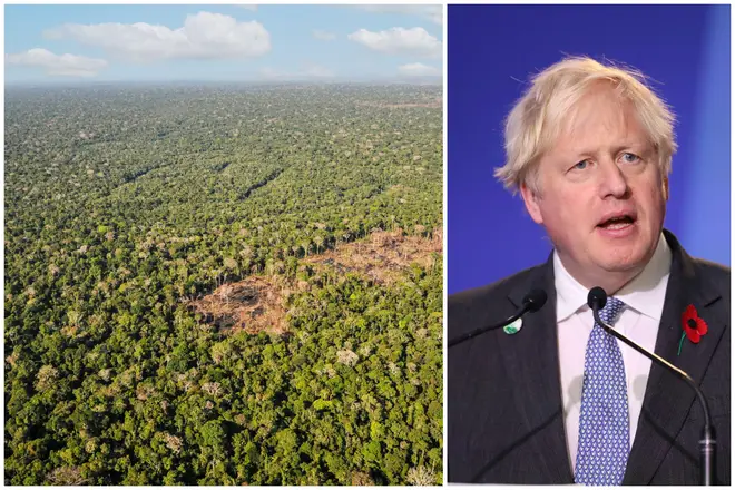 Boris Johnson's government has said world leaders will commit to protecting and restoring the earth's forests