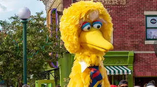 Big Bird was targeted online by anti-vaxxers, but also received plenty of support