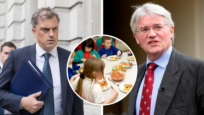 A total of 27 Conservative MPs who work as consultants for private companies voted against free school meals