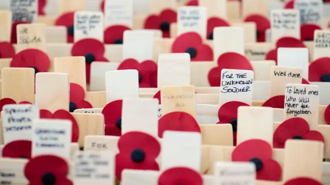 The Poppy Appeal is an annual fundraising campaign.