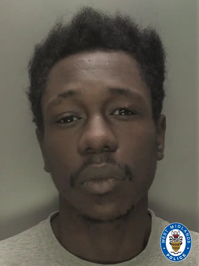 Zephaniah McLeod killed one man and knifed 7 other people in a stabbing rampage across Birmingham.