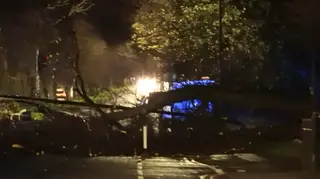 A tree blocking a road in Edinburgh.