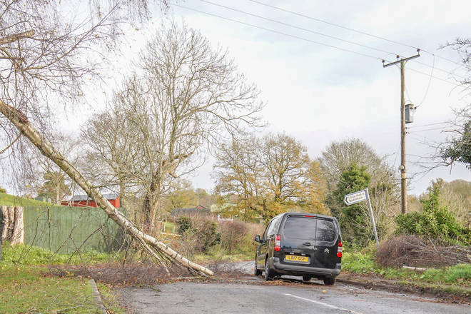 Trees came down across the UK as winds hit almost 100mph.
