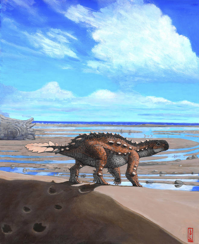 Fossils found in Chile are from the bizarre dog-sized dinosaur species that had a unique slashing tail weapon, scientists reported (Luis Perez Lopez via AP)