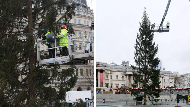 The Christmas tree has faced a backlash from Londoners.
