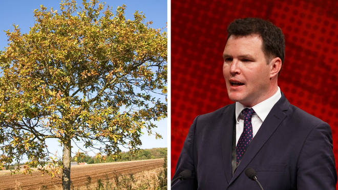 Every household in Wales will be offered a tree as part of a new scheme.