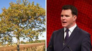 Every household in Wales will be offered a tree as part of a new scheme.