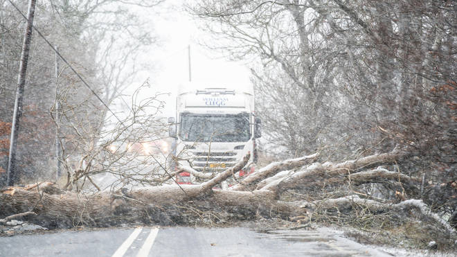 A fallen tree blocks a road in South Lanarkshire as Storm Barra hits the UK