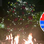 Christmas on fire: Tree seller says he'll likely 'burn' stock due to fall in shoppers