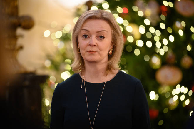 Liz Truss is the new Brexit minister.