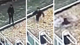 Man plunges into canal after mistaking it for a leafy footpath
