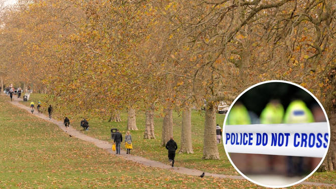 A female jogger was raped in Streatham Common two days before Christmas.