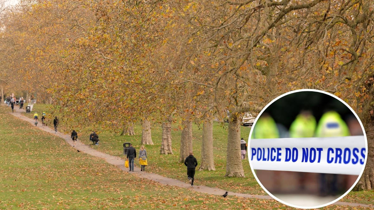 Jogger raped by stranger during morning run in south London