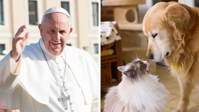 Pope Francis says couples who choose pets over having children are 'selfish'