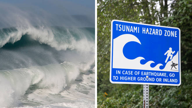 A Tsunami warning has been issued for the West Coast of the United States