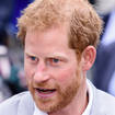 The Duke of Sussex has filed a claim for a judicial review against a Home Office