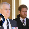 Prince Andrew and Prince Harry will not be eligible to receive a Platinum Jubilee medal