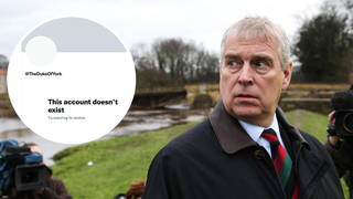 Prince Andrew's official Duke of York Twitter account has been deleted.