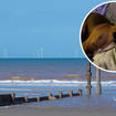Hundreds of dogs have fallen ill following walks along the north east coast.