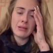 Adele tearfully told fans her show can't go on