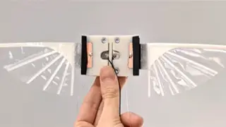 A micro robot with flapping wings