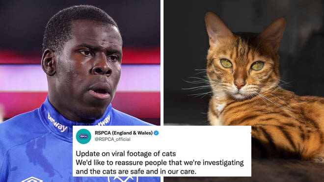 Kurt Zouma, who played for West Ham on Tuesday evening, has had his cats taken off him by the RSPCA.