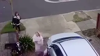 Disturbing CCTV has emerged showing a woman walking up a driveway before punching a cat off a fence