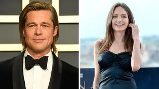 Brad Pitt is suing Angelina Jolie for selling her stake in their co-owned French vineyard