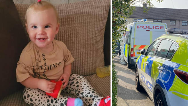 The toddler was killed by a dog the family only bought a week earlier