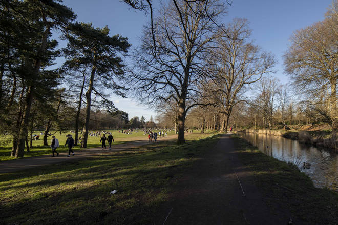 The attack happened in Bute Park