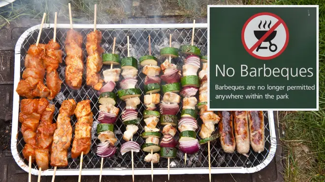 Disposable barbecues could be banned across England this summer 