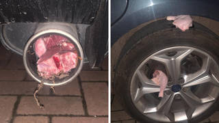 Police are investigating a spate of incidents where raw meat was thrown at two properties