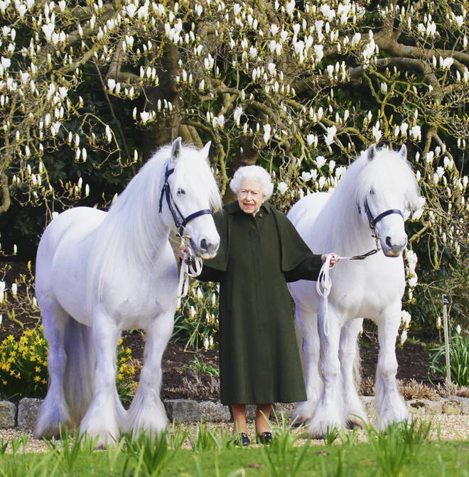 The Queen marked her birthday with a special photo with her horses